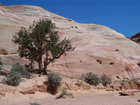 UtahRW2007 186.jpg