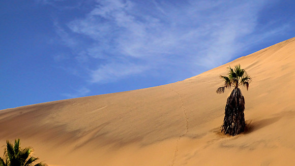 Giant sand dunes of Namibia