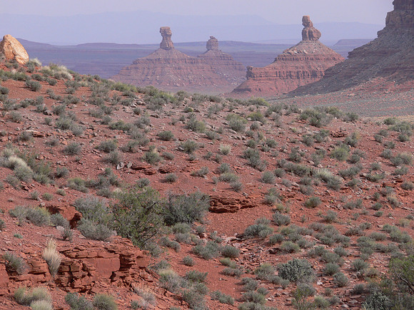UtahTW2007 947.jpg