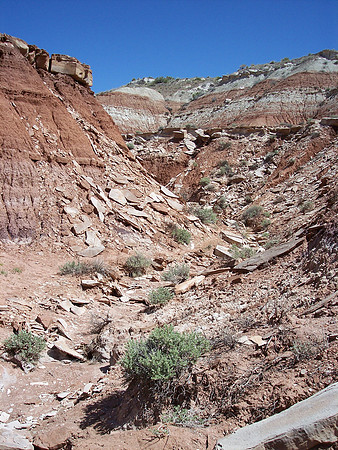 UtahRW2007 255.jpg