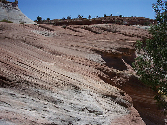 UtahRW2007 209.jpg