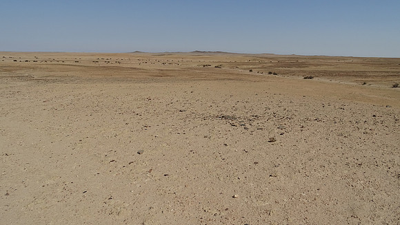 Namib desert