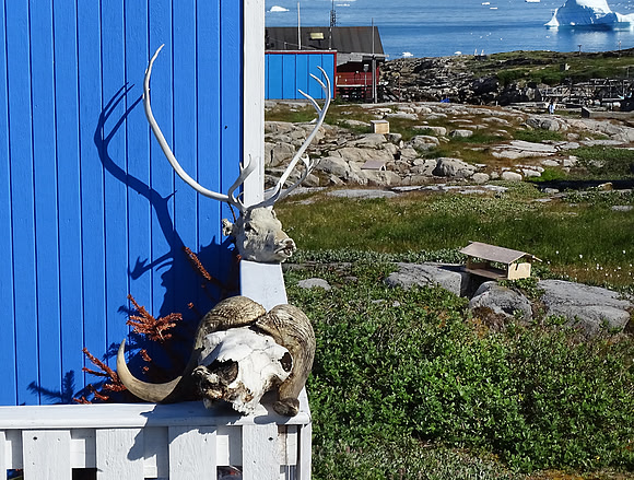 Qeqertarsuaq, Greenland