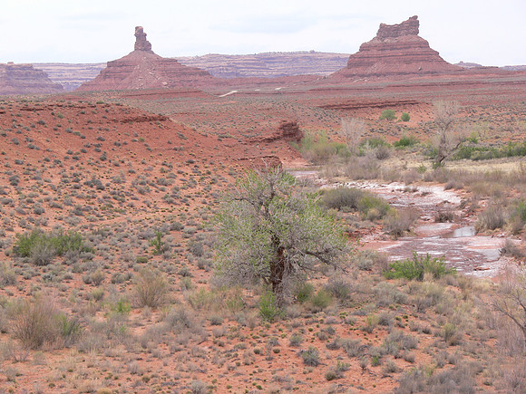 UtahTW2007 912.jpg