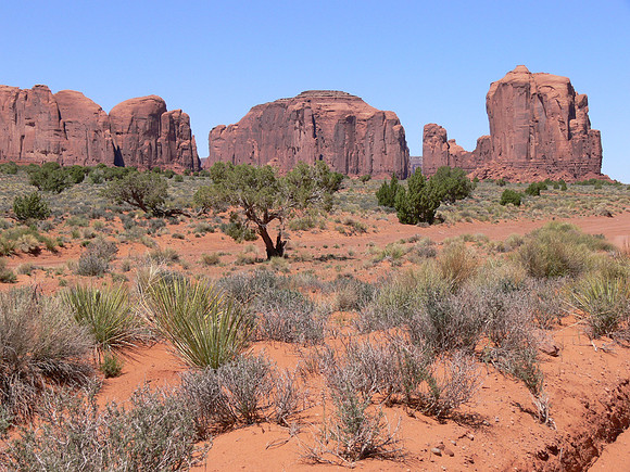 UtahTW2007 031.jpg