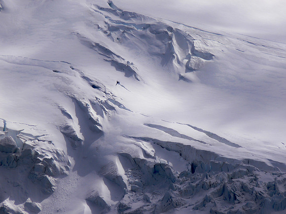 South Shetland Islands - Antarctica