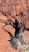 Sedona Arizona