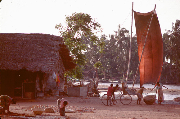 Cleaning the sail in Negombo, Sri Lanka