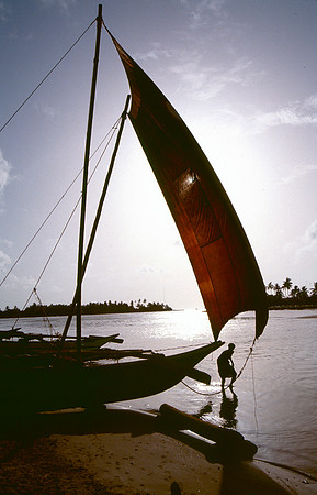 Sailboat in Negombo, Sri Lanka.