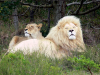 South Africa - East London