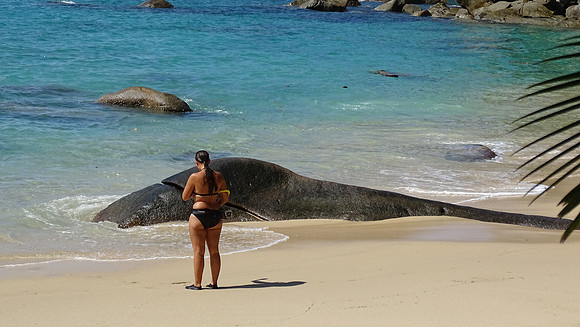 Seychelles Islands