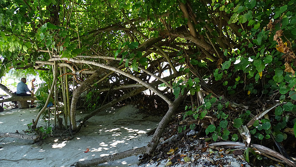 Seychelles Islands