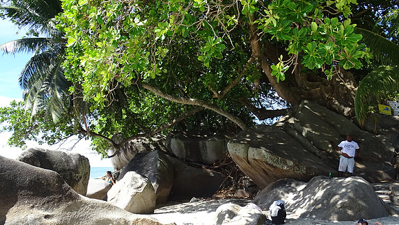 Seychelles Islands