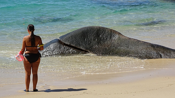 Seychelles Islands