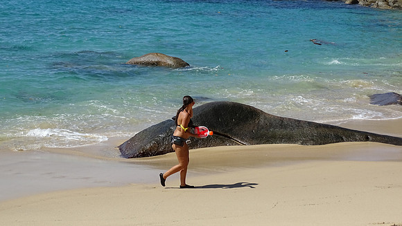 Seychelles Islands