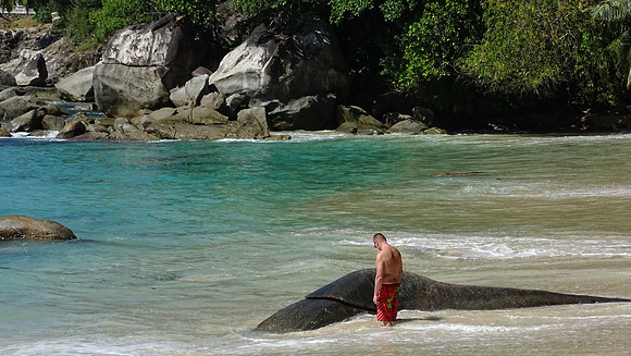 Seychelles Islands