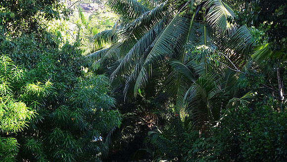 Seychelles Islands