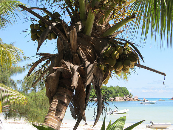 Seychelles Islands