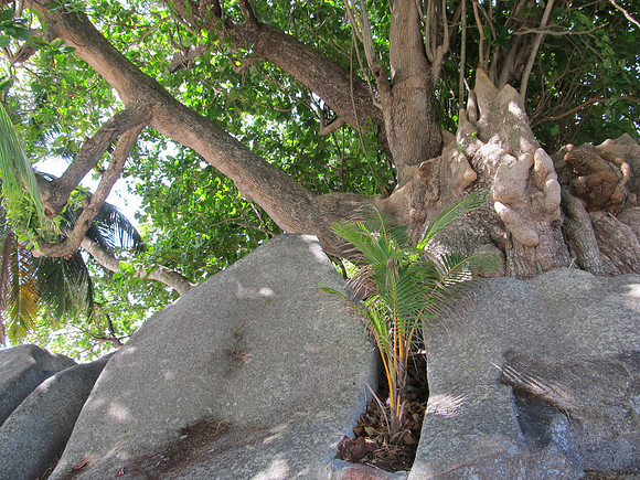 Seychelles Islands