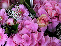The Floating Flower Market.