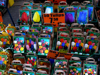 The Floating Flower Market.