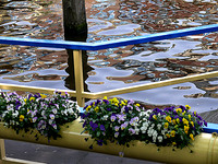 The Famous canals of Amsterdam.