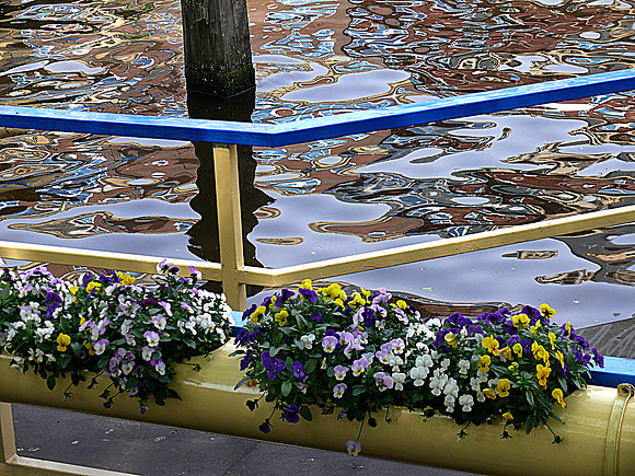 The Famous canals of Amsterdam.