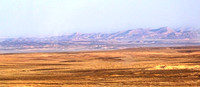 Negev Desert