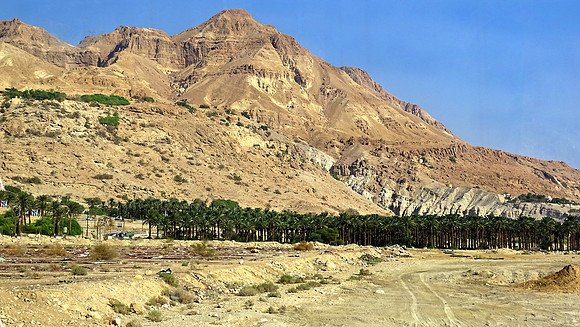 Negev Desert
