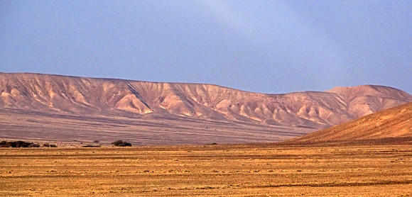 Negev Desert