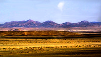Negev Desert