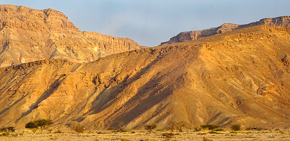Negev Desert