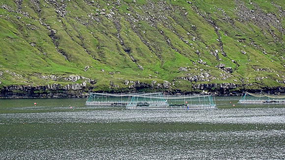 Faroe Islands - Torshavn