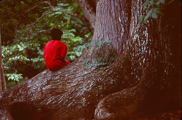 Girl in Red sitting on tree root in the Amazon jungle.