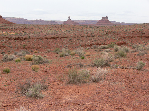 UtahTW2007 909.jpg