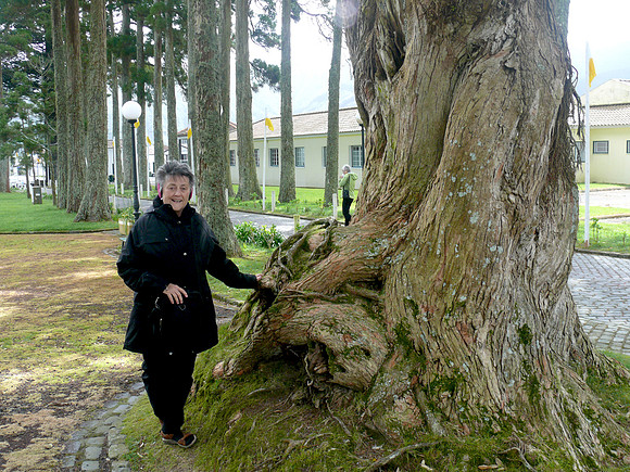 Ponta Delgada (Azores)