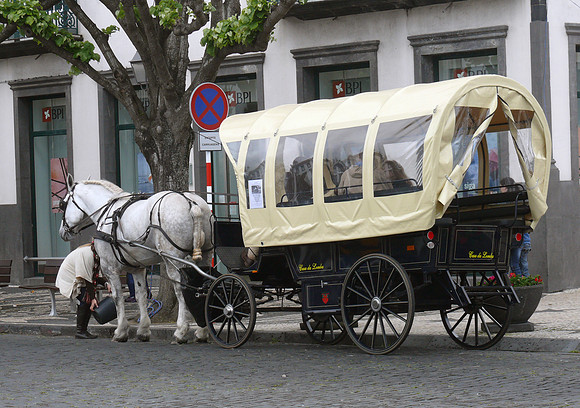 Ponta Delgada (Azores)