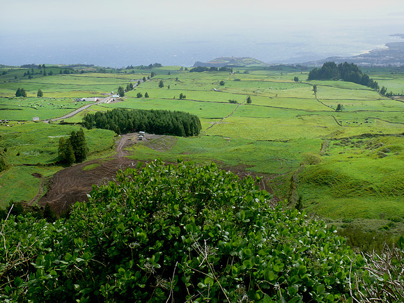 Ponta Delgada (Azores)