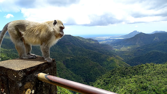 Mauritius 2018