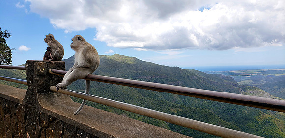 Mauritius 2018
