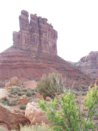 UtahRW2007 131.jpg