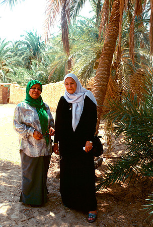 The Oasis at Siwa, Egypt