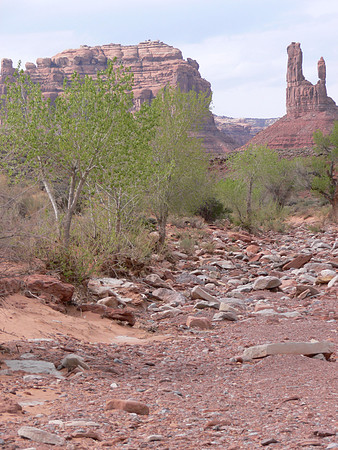 UtahTW2007 933.jpg