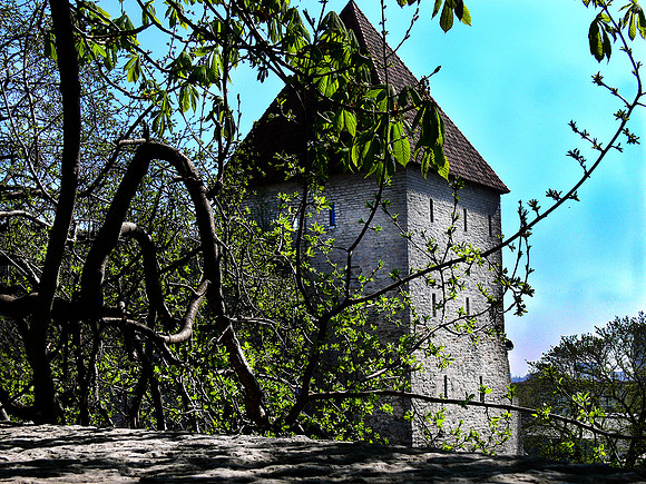 Tallinn Estonia