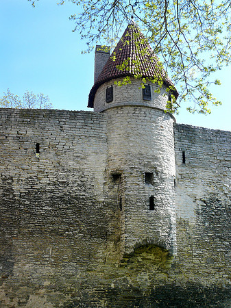 Town Wall -Tallinn Estonia