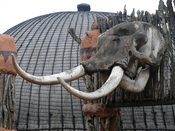 Village is decorated wih elephant skull.