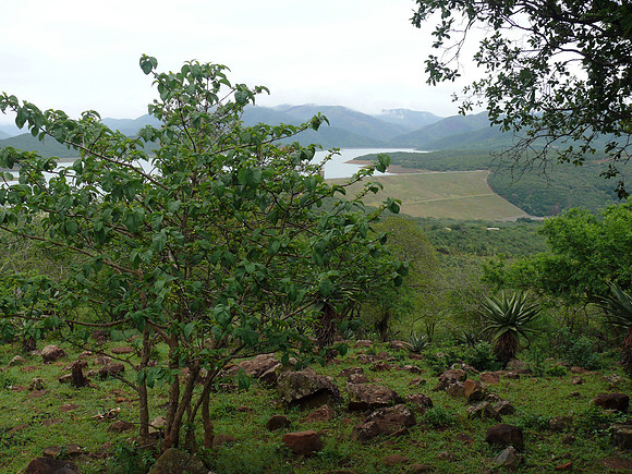 Scene of Zulu Village overlooking Phobane Lake