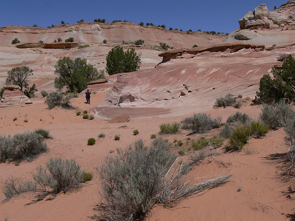 UtahTW2007 176.jpg