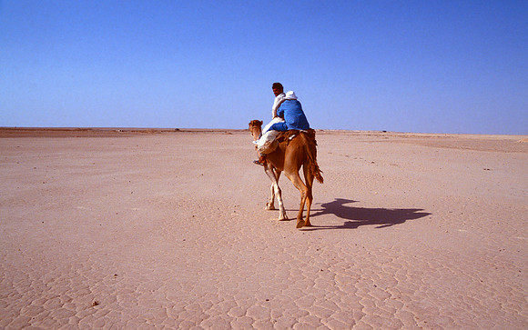 The Oasis at Siwa, Egypt