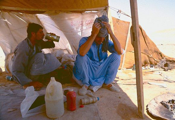 The Oasis at Siwa, Egypt